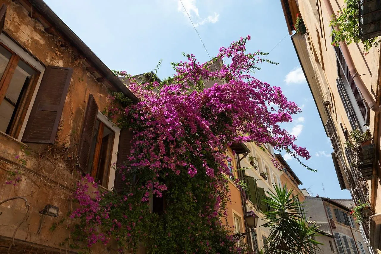 Campo Dei Fiori Palace,Piazza Navona Rome Apartment